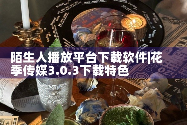 陌生人播放平台下载软件