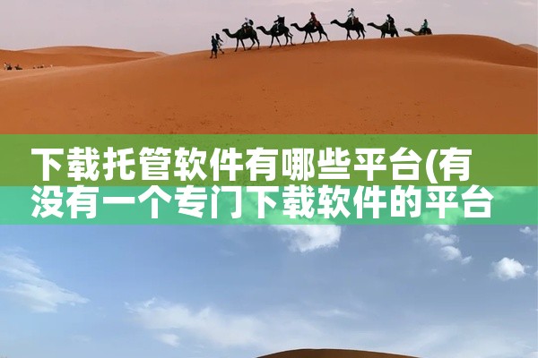 下载托管软件有哪些平台