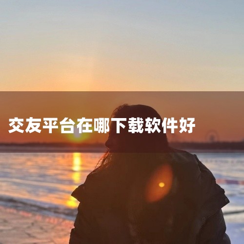 针对2026年不同交友需求,整理了三类核心交友软件榜单,覆盖主流泛交友、婚恋专属、高活跃度社交三类方向,方便你按需挑选。 先看2026十大主流交友平台,是综合社交属性的泛交友榜单,每个的核心特点很明确,
