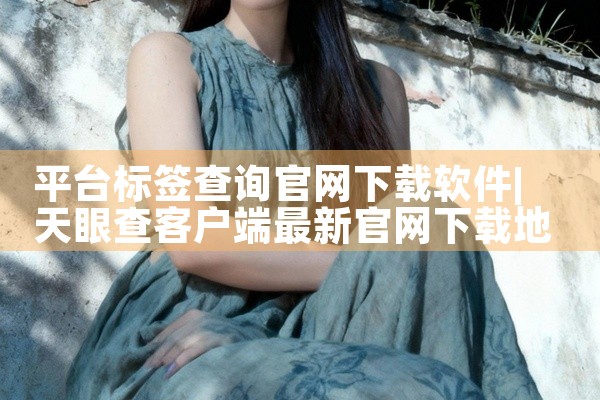 平台标签查询官网下载软件