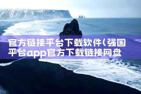 官方链接平台下载软件