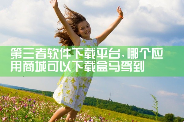 第三者软件下载平台