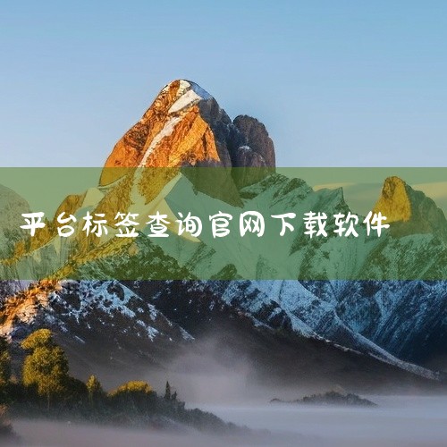 天眼查客户端最新官网下载地址为：https://www.tianyancha.com/ 官网功能定位该链接为天眼查官方唯一指定主页，用户可通过页面顶部导航栏的「下载APP」入口获取移动端安装包。官网同,