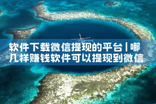 软件下载微信提现的平台